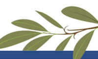 olivebranch-thumbnail.jpg The Olive Branch blog; How Will France’s Surprise Intervention in Mali Affect a Longer-Term Solution?