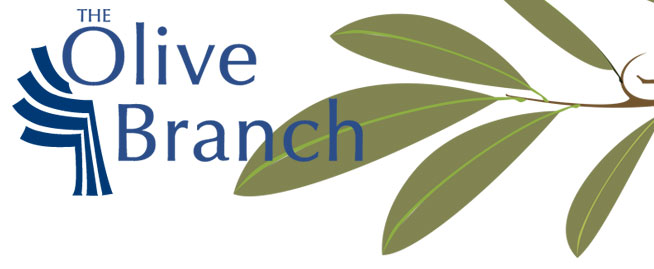 olive-branch-slide.jpg