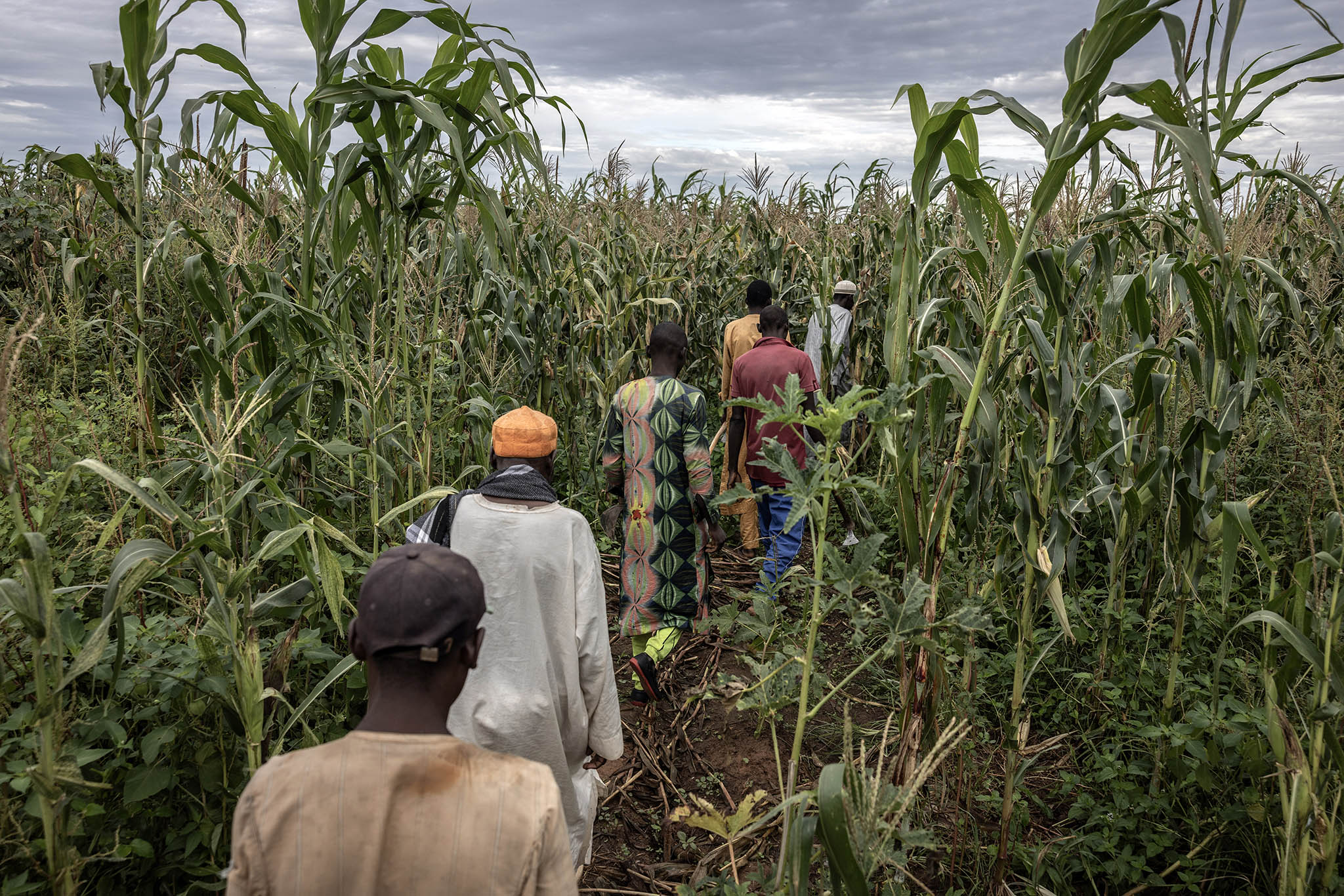 Farmers in Nigeria’s Gombe state head to work. Inflation has many families skipping meals as Nigeria struggles to restore economic growth, internal security and trust in government, all vital to domestic stability. (Finbarr O’Reilly/The New York Times)