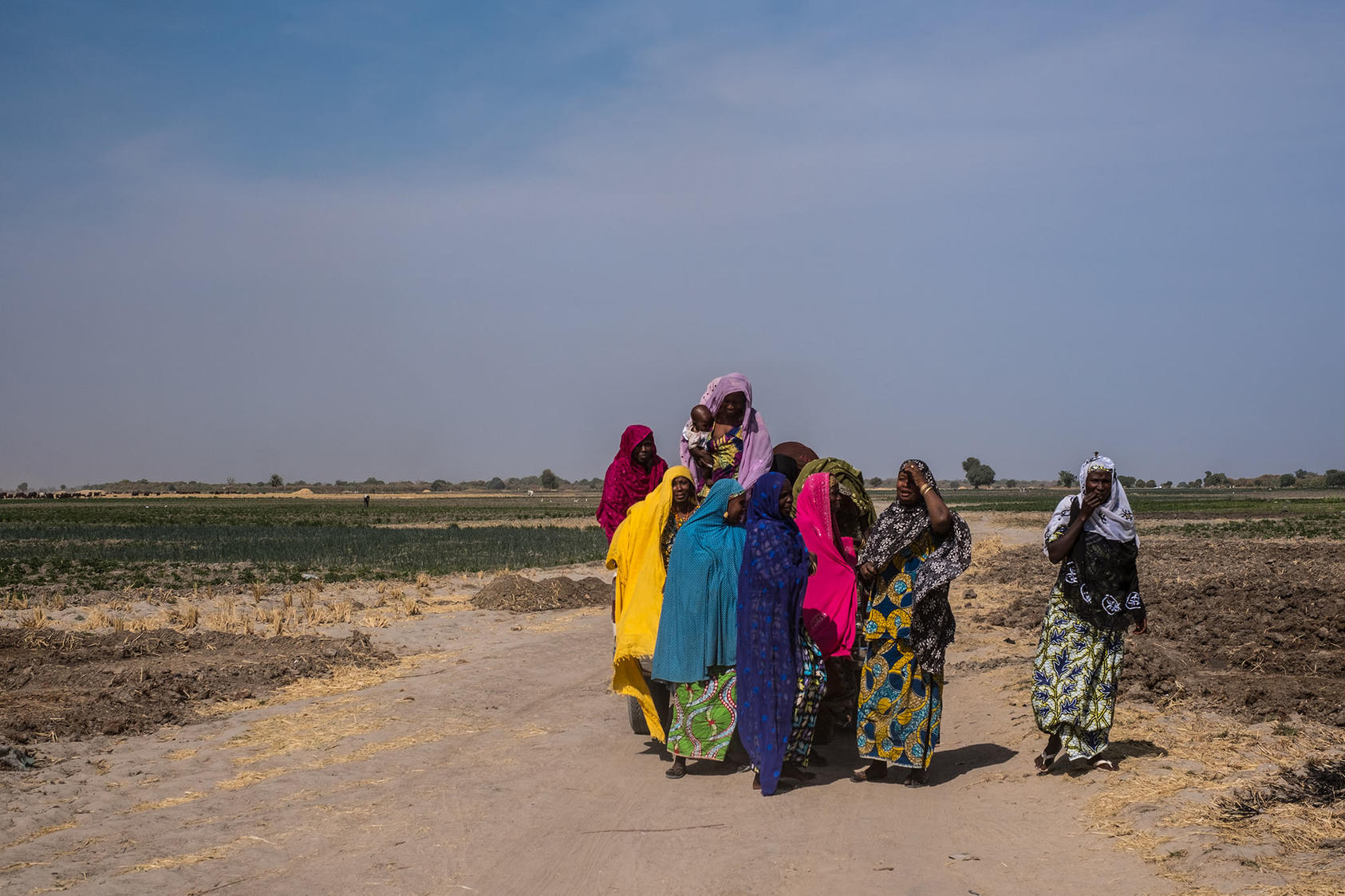 People displaced by Boko Haram, farm as part of a U.N. food program. The military and the government have proclaimed that the countryside outside Maiduguri mostly safe. Photo Courtesy of The New York Times/Ashley Gilbertson