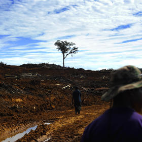 Men walk through land cleared by ExxonMobil for an airfield in Komo, Papua New Guinea, on Sept. 20, 2010. (Jes Aznar/The New York Times)