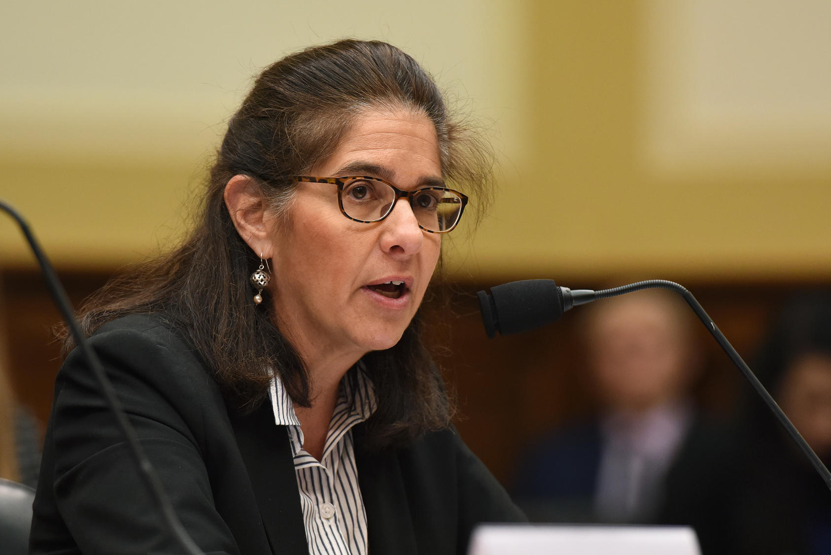 Mona Yacoubian testifies before the House Foreign Affairs Subcommittee on Middle East and North Africa, September 27, 2018.
