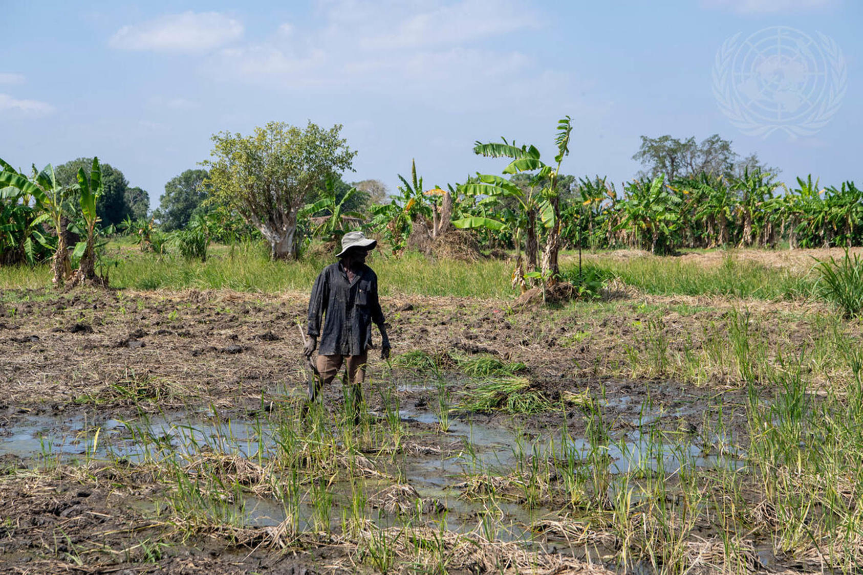 A man works in the fields outside of the Taratara Camp, in Cabo Delgado province. (U.N. Photo/Eskinder Debebe)