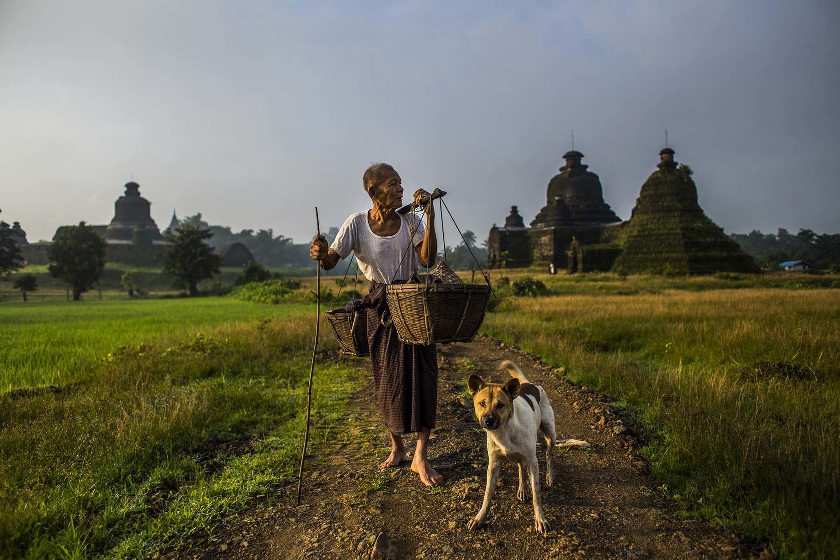 An 85-year-old ethnic Rakhine man on his way to work in their family's garden planting flowers, in Mrauk U, Myanmar. Sept. 12, 2018. (Minzayar Oo/The New York Times)