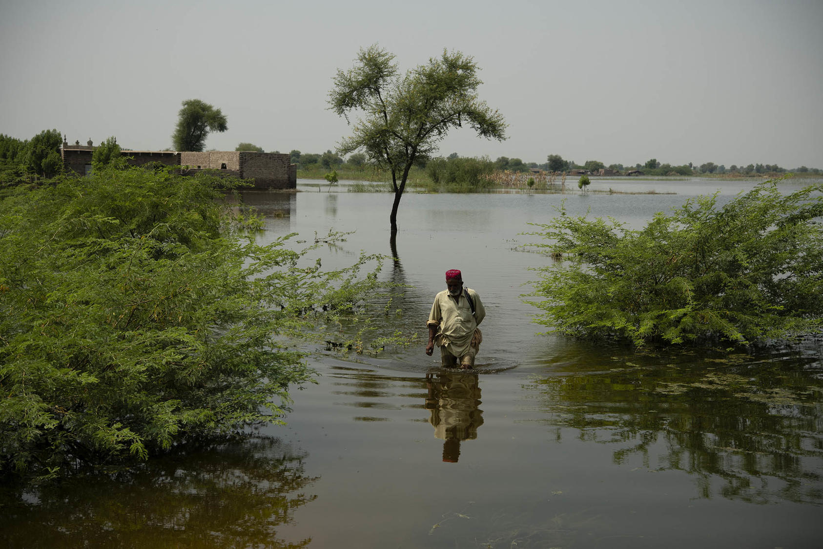 A man walks through his farm, which remains flooded three weeks after heavy rains, in Nawabshah, Pakistan. September 15, 2022. (Kiana Hayeri/The New York Times)