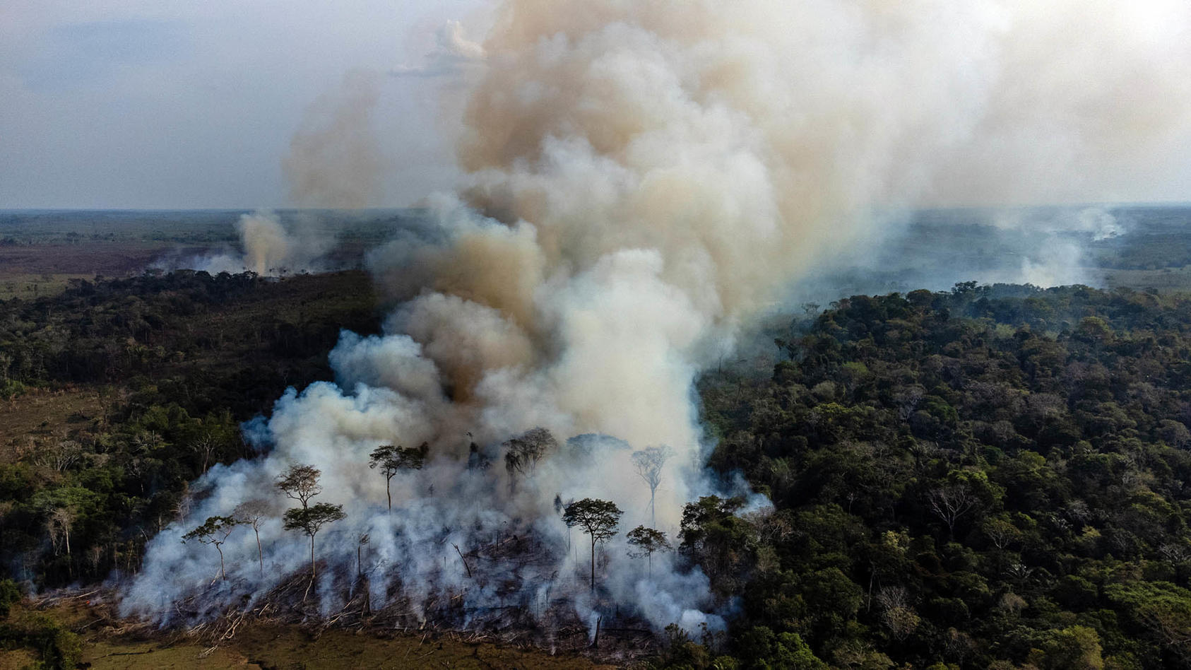 Fires burn down rainforest near Caqueta, Colombia in 2021 to clear land for farming. Army-style raids to halt deforestation have failed — and led to violence. A Colombian team has built a new method with a USIP grant. 