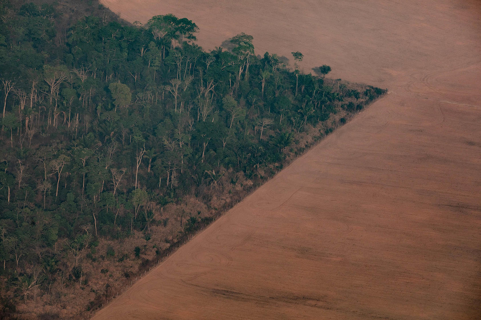A burned forest area next to a cattle ranch in the state of Mato Grosso, Brazil. August 31, 2019. (Victor Moriyama/The New York Times)