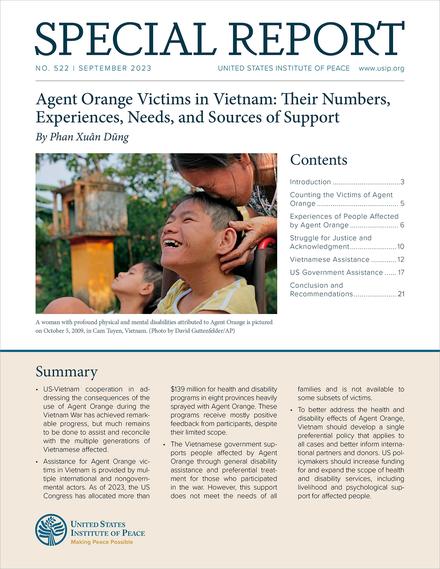 Agent Orange Victims in Vietnam: Their Numbers, Experiences, Needs, and Sources of Support report cover