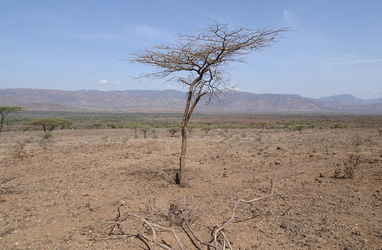 Kenya: As Drought Deepens Land Conflicts, Peacebuilders Respond