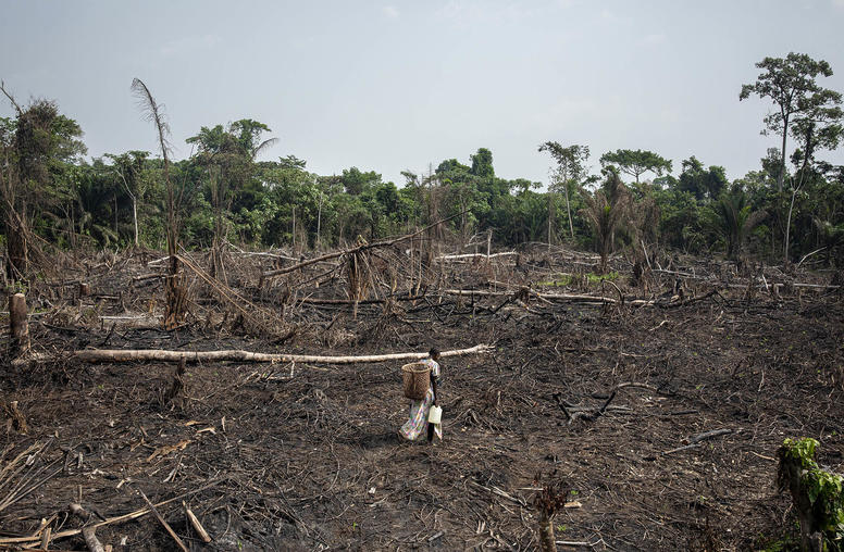 How Climate Change Fuels Instability in Central Africa