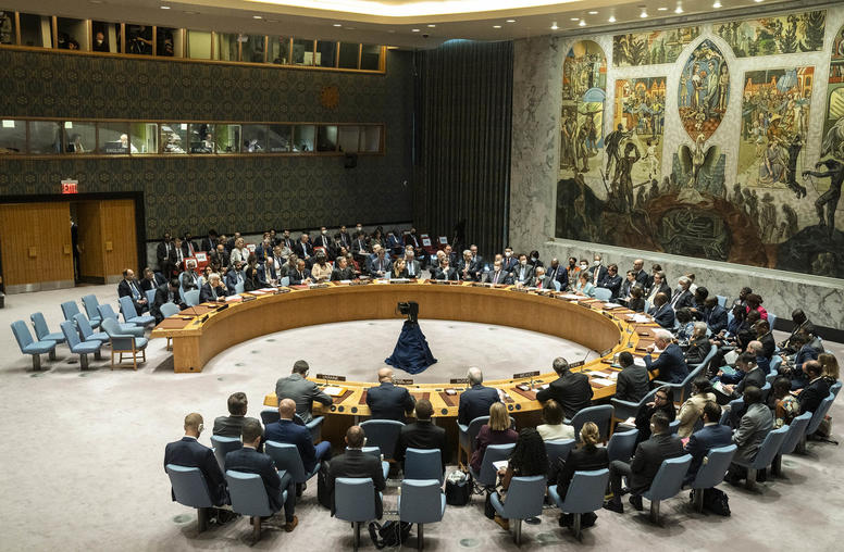 Will the U.S.-Africa Summit Address U.N. Security Council Reform?