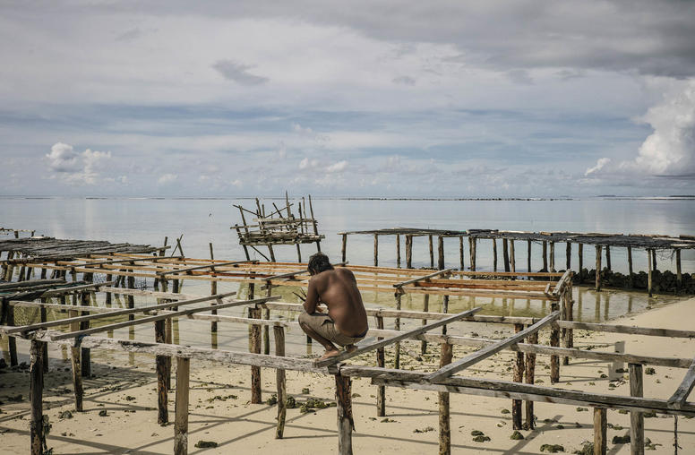 Climate Change and Conflict in Solomon Islands