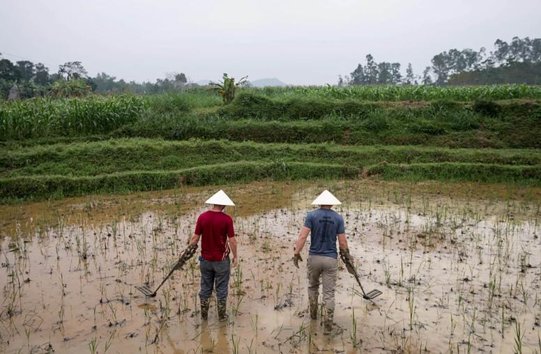 Two U.S. Air Force members search a rice paddy for possible aircraft wreckage while on a recovery mission in Nghe An, Vietnam. December 4, 2017. (Staff Sgt. Matthew J. Bruch/U.S. Air Force)