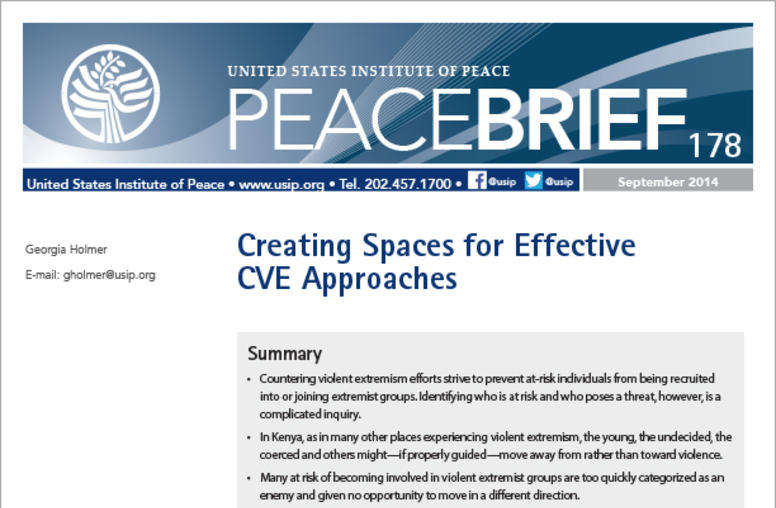 Creating Spaces for Effective CVE Approaches