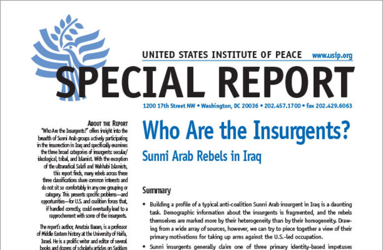 Who Are the Insurgents? Sunni Arab Rebels in Iraq