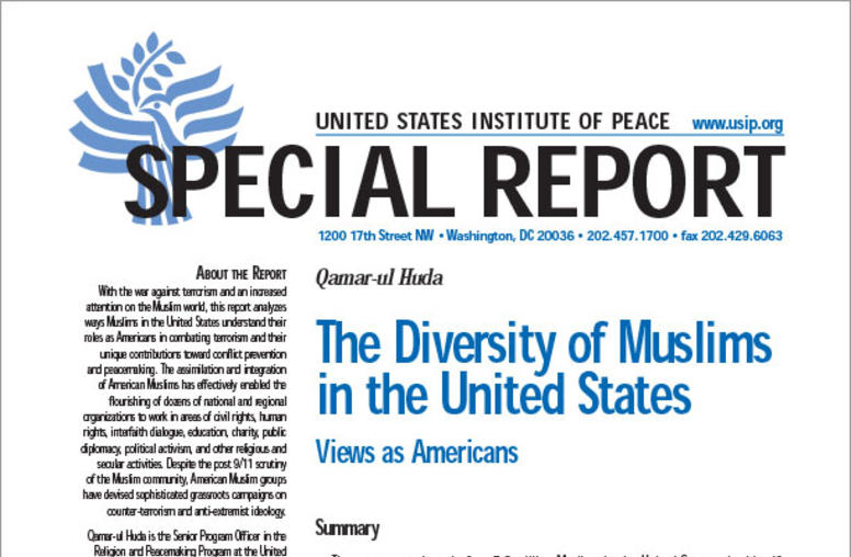The Diversity of Muslims in the United States: Views as Americans